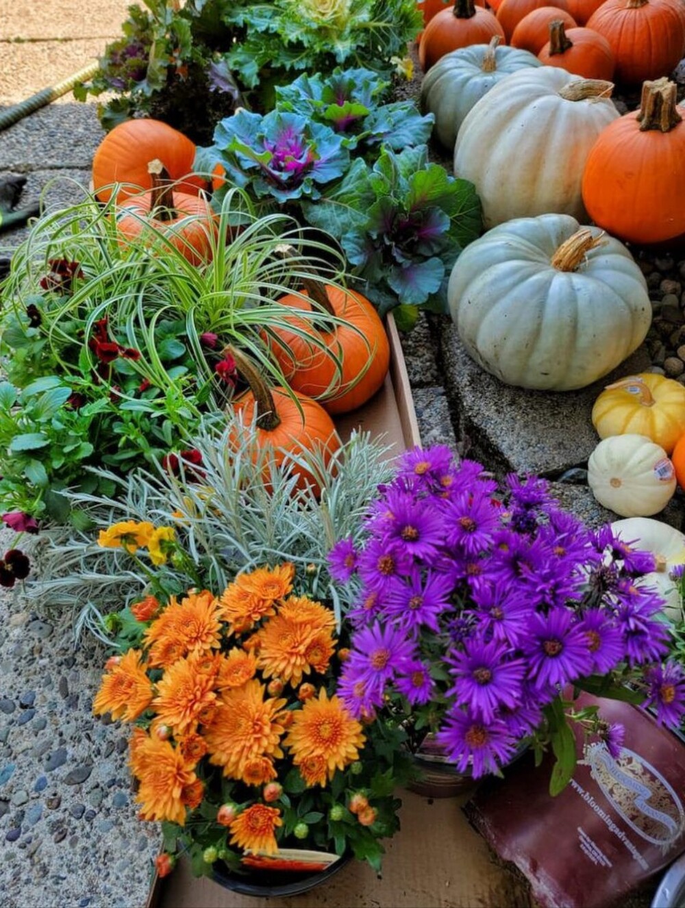 ITS TIME FOR FALL SHOPPING